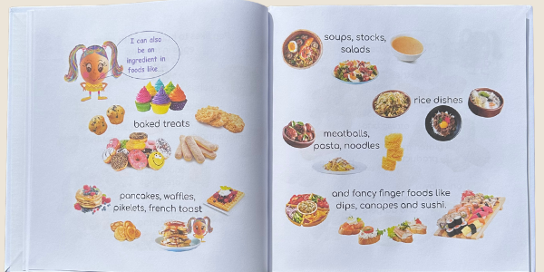 Open book with illustrations of food categories on a light background